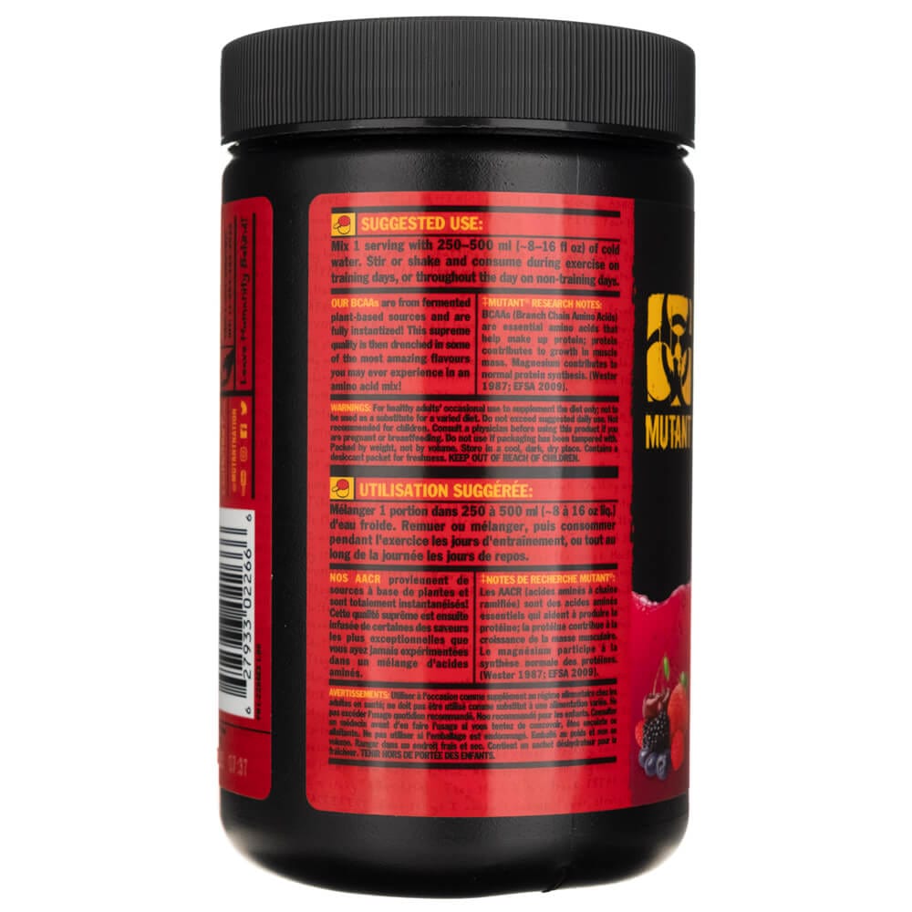 PVL BCAA 9.7, Fruit Punch - 348 g