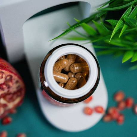 Wellbear Pomegranate 500 mg - 60 Capsules